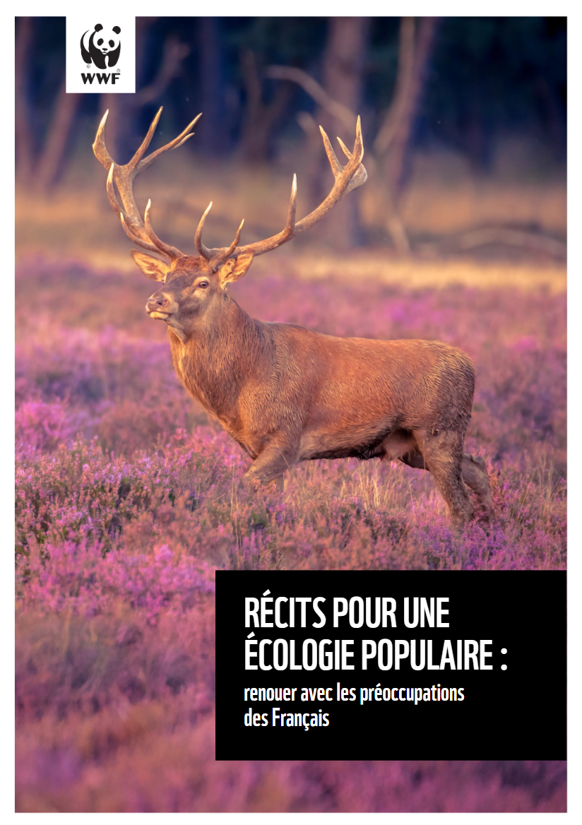 Capture d’écran 2025-11-14 121926 Dernières actus de bluenove qui a rejoint le Groupe Alpha en début d'année 2025